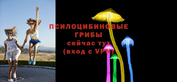 эйфоретик Абинск