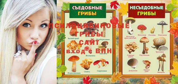 дмт Абаза