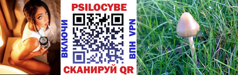Псилоцибиновые грибы прущие грибы  закладка  MEGA как войти  Ступино 