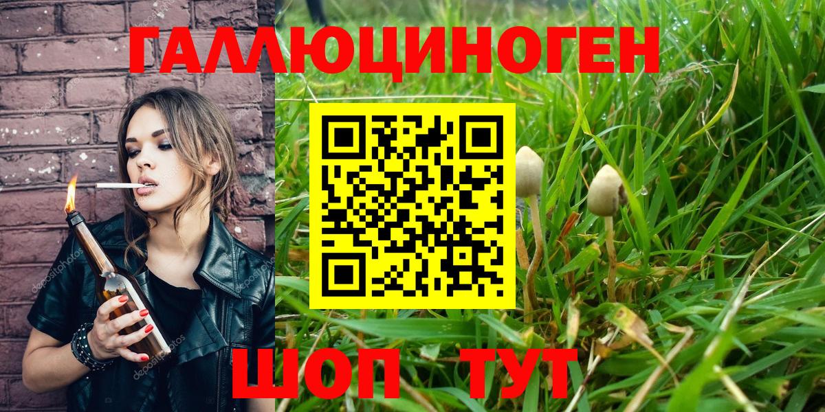 Ступино  Галлюциногенные грибы Psilocybe  Галлюциногенные грибы Cubensis  Вход с VPN 